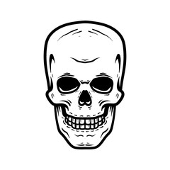 human skull drawing coloring line art style sketch classic vintage design illustration