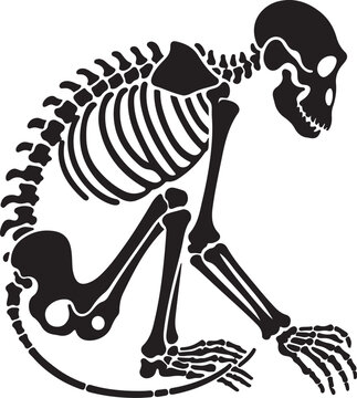 skeleton of monkey animal silhouette vector art illustration
