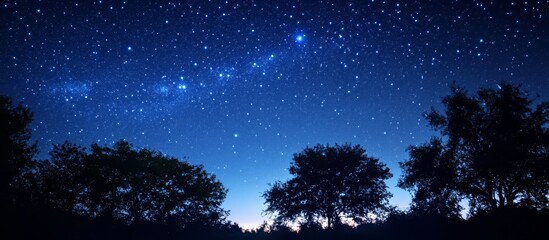 Naklejka premium Enchanting Night Sky with Twinkling Stars and Trees 