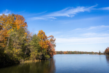 autumn trees in the park