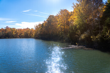 autumn trees in the park