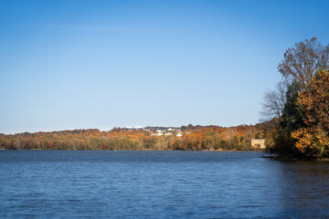 Obraz premium autumn trees in the park