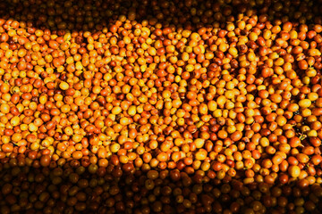 close up of fresh coffee beans for background                 