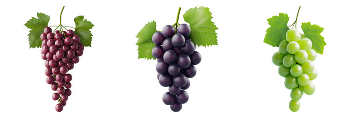 Vibrant Grapes Displaying Varieties on Transparent Background for Culinary Aesthetics