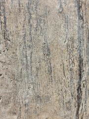 Wood texture