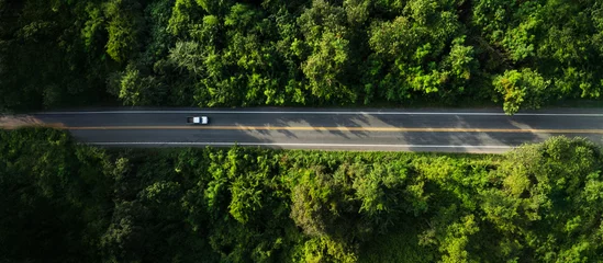 Adventure morning road trip in the forest, electric vehicle driving on asphalt road through green forest.