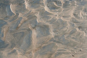 Wet Sand Background: Textured Coastal Surface for Natural Aesthetics