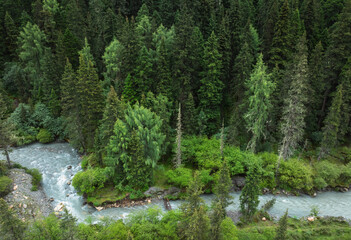 Obraz premium Aerial view of beautiful high altitude mountain forest and river landscape