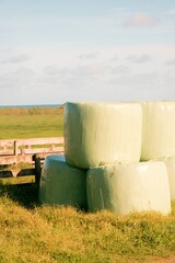 Stacked and Wrapped Hay Bales: Agricultural Scene Next to a Field
