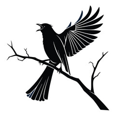 bulbul-a-silhouette-vector-with-white-background