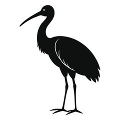 ibis-a-silhouette-vector-with-white-background