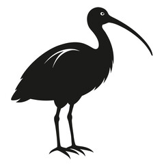 ibis-a-silhouette-vector-with-white-background