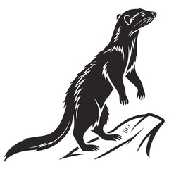 mongoose-a-silhouette-vector-with-white-background