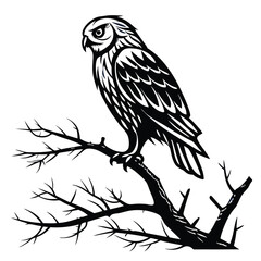 owl-a-silhouette-vector-with-white-background