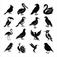 collection of bird silhouette design