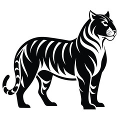 tiger-a-silhouette-vector-with-white-background