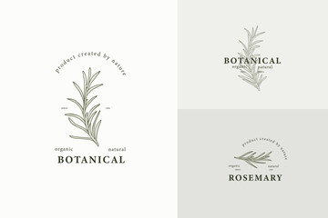 Line art rosemary branch logotypes