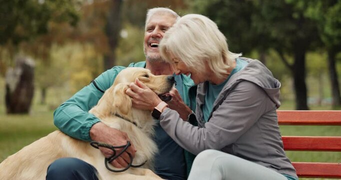 Senior, couple and playing with dog at park with conversation, laughing and cuddle for affection. Mature people, golden retriever and relax with companion on bench for bonding, loyalty and support