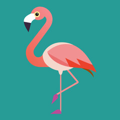 illustration of a flamingo
