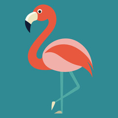 illustration of a flamingo