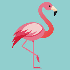 illustration of a flamingo