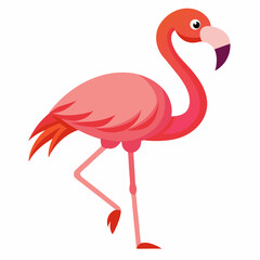 pink flamingo isolated on white
