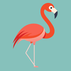 illustration of a flamingo
