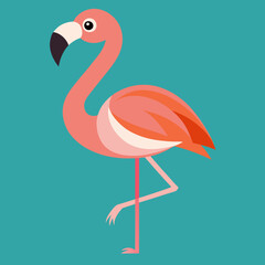 illustration of a flamingo