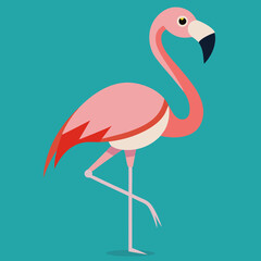 illustration of a flamingo