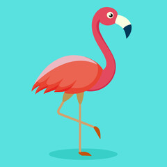 illustration of a flamingo