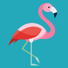 illustration of a flamingo