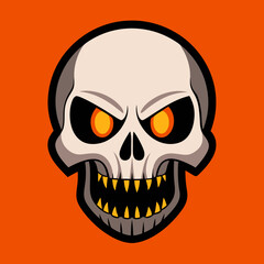 human skull illustration