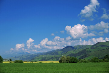 Obraz premium landscape with mountains