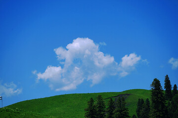 field and blue sky