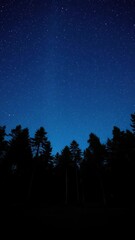 Majestic forest with dense trees under starry night sky, outdoors, magical