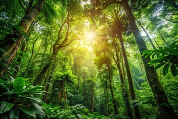 Lush forest with dense foliage and sunlight filtering through the canopy, trees, green landscape
