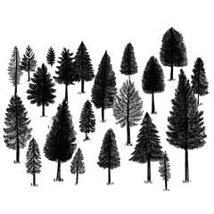 Obraz premium Collection of Trees in Black and White Line Art Illustration on white and transparent background.