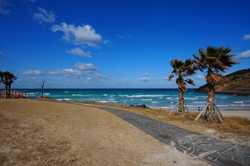seaside walkway and fine seascape