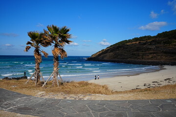 seaside walkway and fine seascape