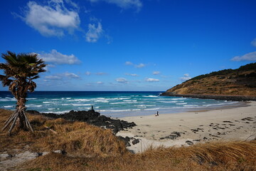 fine beach and clear water in winter
