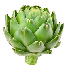 Obraz premium Detailed Macro Shot of a Perfect Fresh Green Artichoke on a White Background