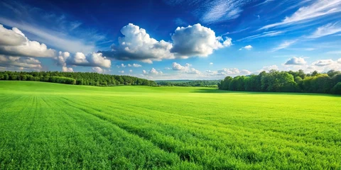 Selbstklebende Fototapeten Fresh green field of grass perfect for background © Kingphet