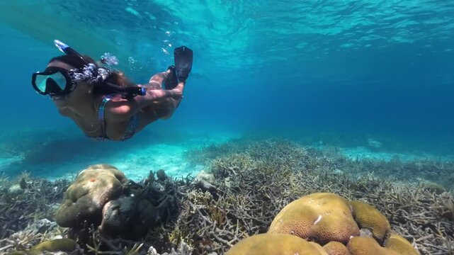 Woman snorkeling near vibrant coral in the clear waters of Los Roques, Venezuela
