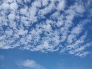 Obraz premium 東京のそら(24.11.1)