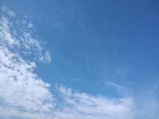 Fototapeta premium 東京のそら(24.11.1)