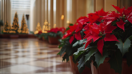 Fototapeta premium A Luxurious Christmas Celebration with Poinsettias in a Grand Hallway