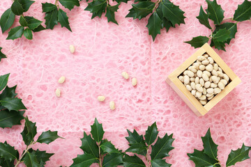 節分　升に入った大豆、福豆　ひいらぎ