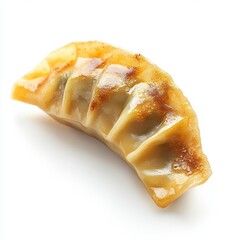 Gyoza dumpling isolation on white background