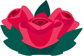 rose flowers, valentine’s day symbol
