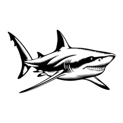Fototapeta premium Shark Line Art in Monochrome Vector Drawing Style